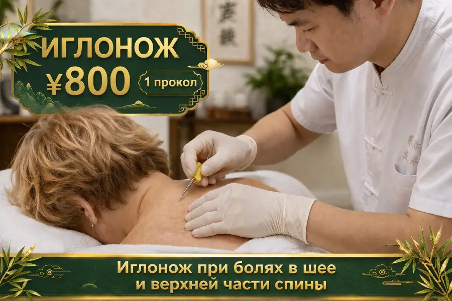 Иглонож при болях в шее и верхней части спины